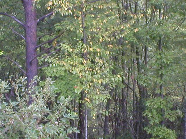 p1010027.jpg