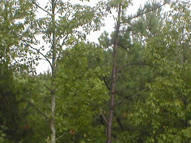 p1010028.jpg