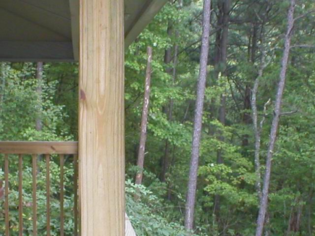 p1010029.jpg