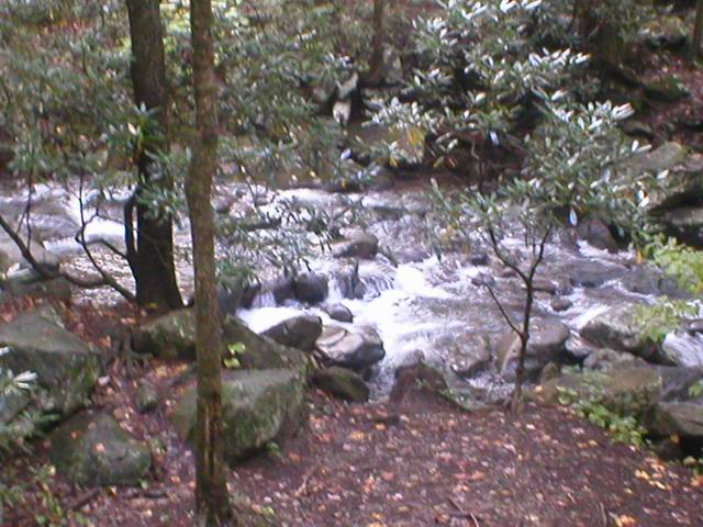 p1010037.jpg