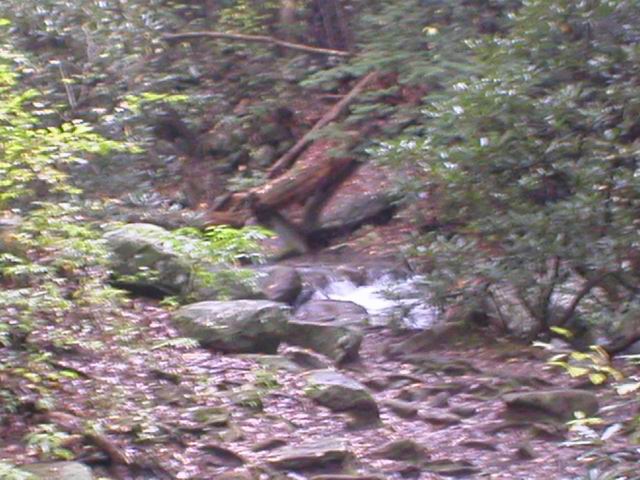p1010038.jpg
