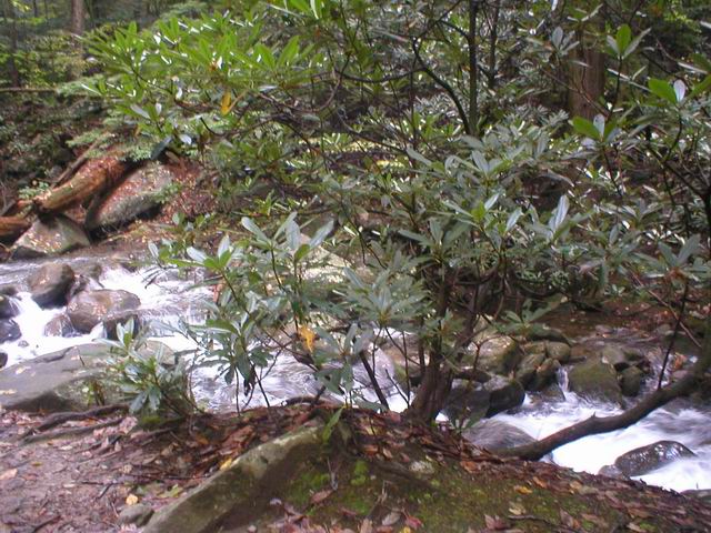 p1010041.jpg