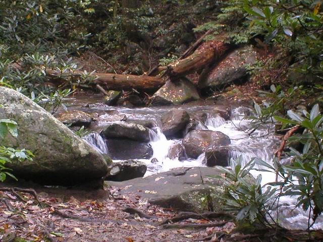 p1010042.jpg