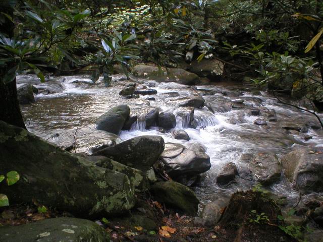 p1010044.jpg