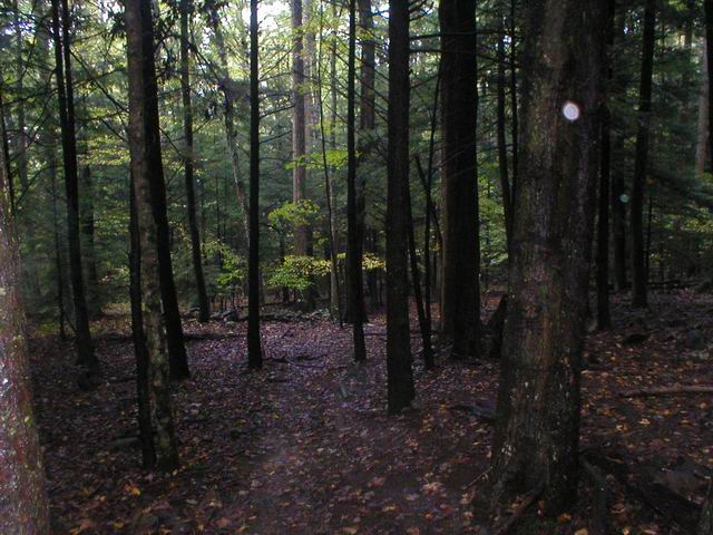 p1010051.jpg