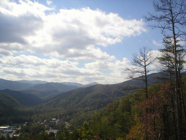 p1010077.jpg