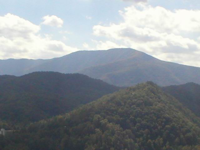 p1010083.jpg